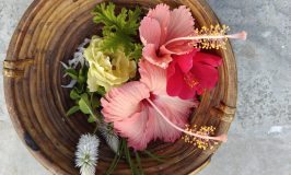 Festival flowers