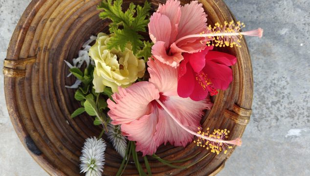 Festival flowers