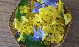 Festival flowers